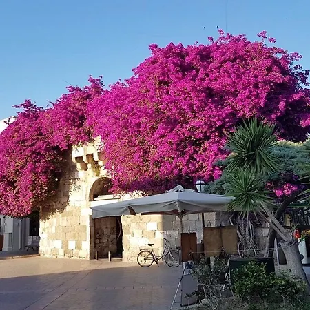 Sandys And Log Hotell Psalidi (Kos)
